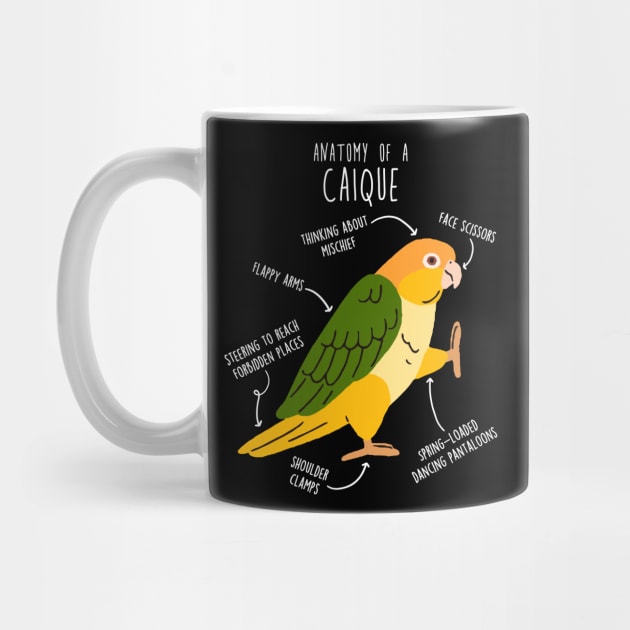 White-bellied Caique Parrot Anatomy by Psitta